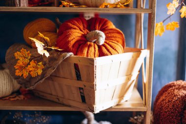 Samanlı, sepetli ve rahat koltuklu balkabağı süslemeleri.