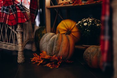 Samanlı, sepetli ve rahat koltuklu balkabağı süslemeleri.