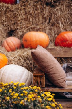 Yastıklı ahşap bank ve bol balkabaklı mevsimlik süslemeler.