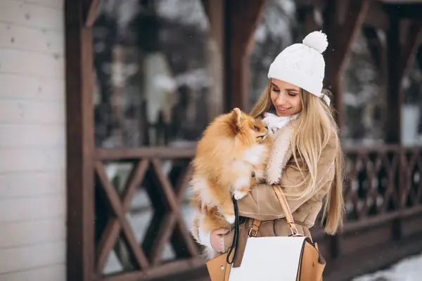 Vrouw Met Hond Winter — Stockfoto