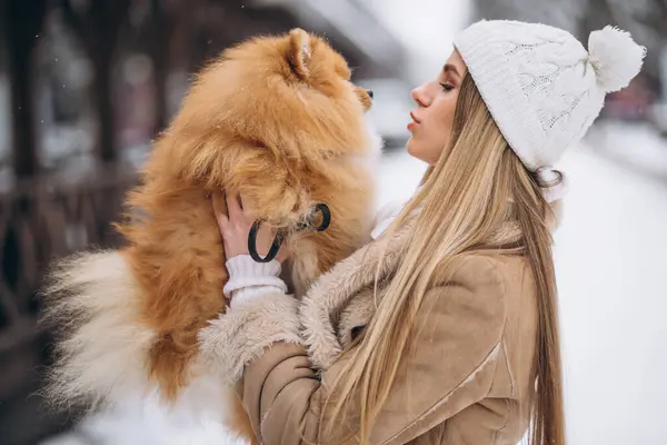 冬に犬と女性 — ストック写真