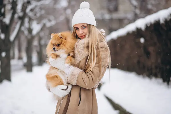 Женщина Собакой Зимой — стоковое фото