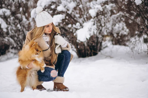 Mulher Com Cão Inverno — Fotografia de Stock