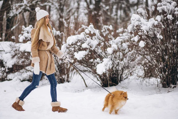 Женщина Собакой Зимой — стоковое фото