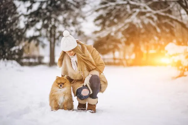Жінка Собакою Взимку — стокове фото