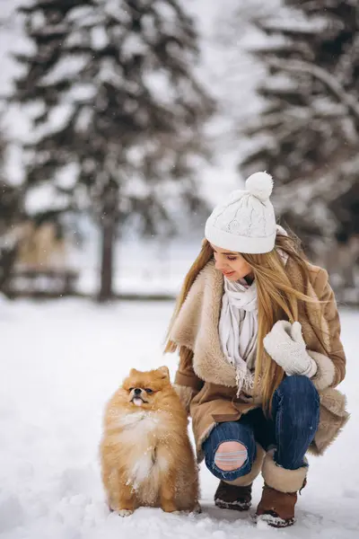 Mulher Com Cão Inverno — Fotografia de Stock