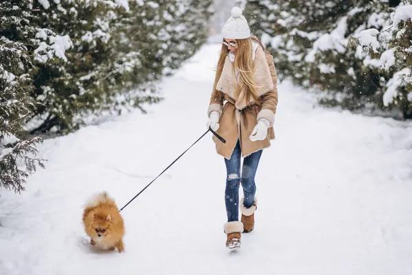 Kvinna Med Hund Vintern — Stockfoto