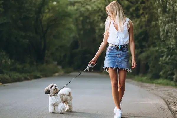 Красива Жінка Собакою Вулиці Парку — стокове фото