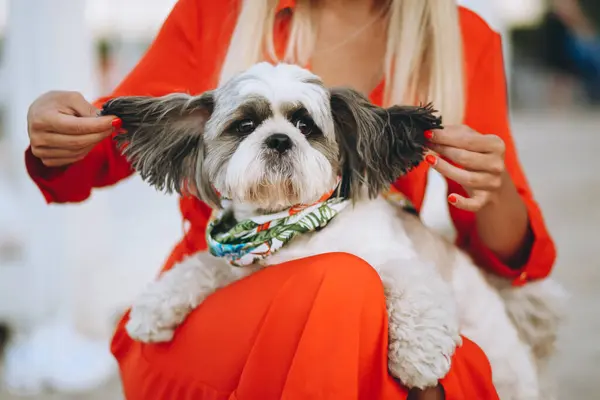 Hübsche Frau Mit Ihrem Süßen Hund Urlaub — Stockfoto