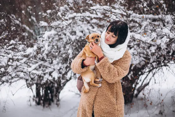 Şirin Köpeğiyle Güzel Bir Kadın — Stok fotoğraf