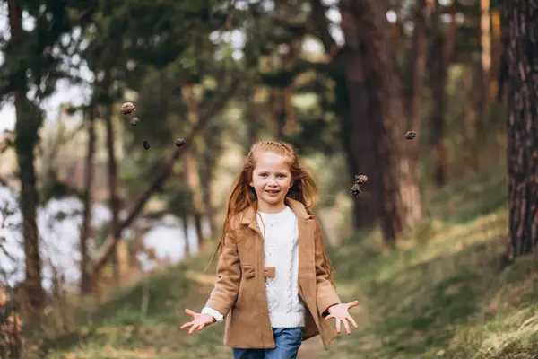 可爱的小女孩在森林里采摘球果 — 图库照片