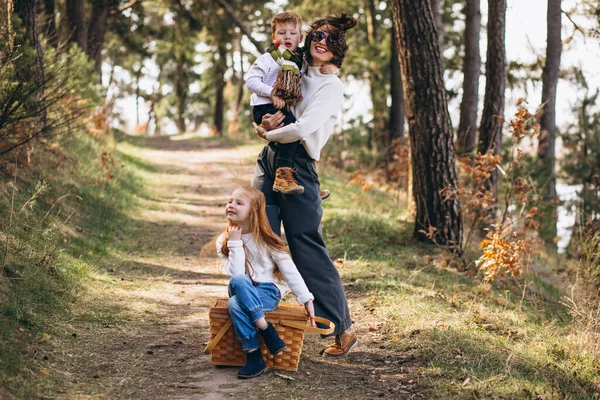 Junge Mutter Mit Tochter Und Sohn Beim Picknick Wald — Stockfoto