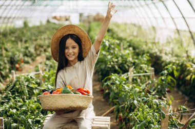 Genç kız serada sebze topluyor.