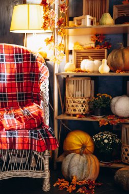 Konforlu sandalye ve sonbahar balkabaklarıyla mevsimlik dekorasyonlar
