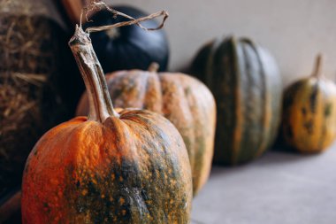 Duvarda duran bir çift balkabağı, arka plan resmi.