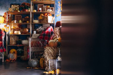 Sandalyeli rahat bir fotoğraf ve balkabaklı, samanlı ve çiçekli mevsimlik dekorasyonlar.