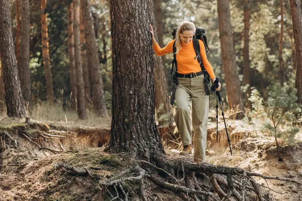 Woman hiking with walking sticks in forest stopped by the tree