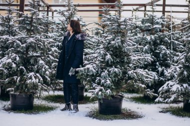 Yakışıklı bir adam Noel ağacını seçiyor.