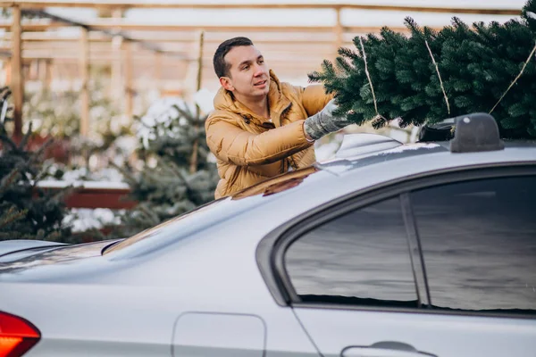 Giovane Uomo Consegna Albero Natale Auto — Foto Stock