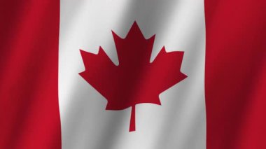 Kanada Bayrağı. Ulusal 3D Kanada bayrağı dalgalanıyor. Kanada bayrağı rüzgarda sallanan video kaydı. Kanada Bayrağı 4K animasyonu