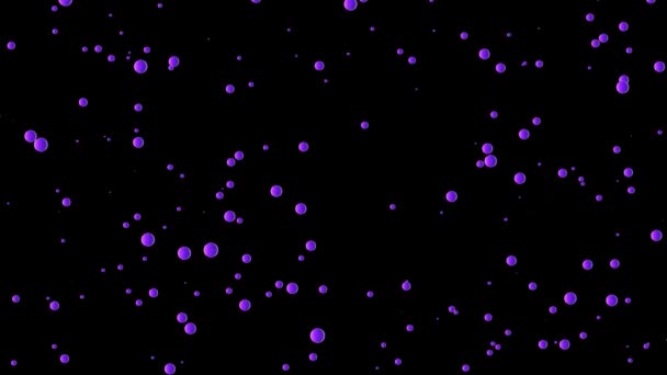 紫色の粒子 黒いスクリーン4K — ストック動画