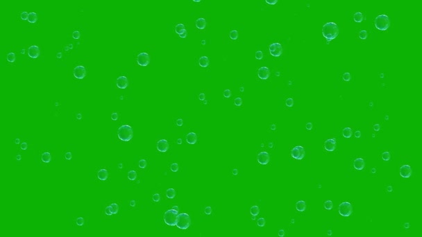Spadające Bańki Mydlane Efekt Górę Klawisz Chroma Animacja — Wideo stockowe