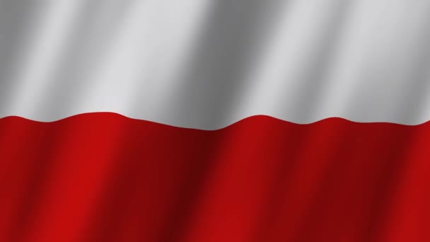 Flagge Polens Die Nationalflagge Polens Weht Das Video Mit Der — Stockvideo