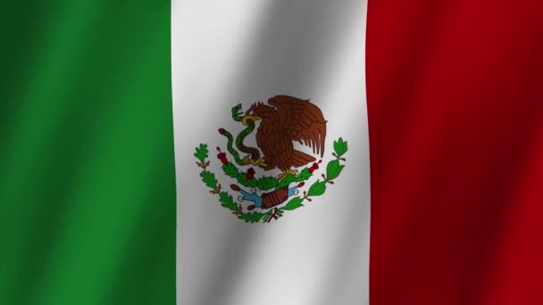 Meksykańska Flaga Meksykańska Flaga Macha Teledysk Flagą Meksyku Machający Wietrze — Wideo stockowe