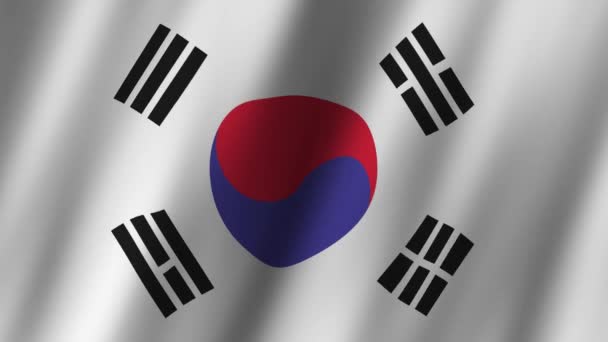 Flaga Korei Południowej Narodowa Flaga Korei Południowej Macha Flaga Korei — Wideo stockowe