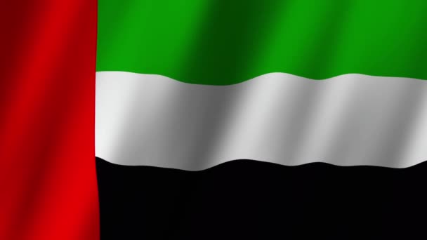 Flaga Stanów Zjednoczonych Emiratów Arabskich Narodowy Zjednoczone Emiraty Arabskie Flaga — Wideo stockowe