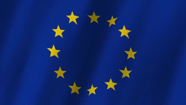 Flagge Europäische Union Die Nationalflagge Europas Weht Die Flagge Europas — Stockvideo