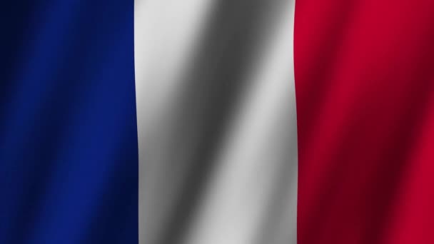Fransa Bayrağı Ulusal Fransa Bayrağı Dalgalanıyor Fransa Bayrağı Rüzgarda Sallanan — Stok video