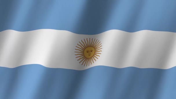 Argentina Flag National Argentina Flag Waving Flag Argentina Footage Video — Stock Video