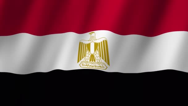エジプトの国旗 エジプト国旗3枚 エジプトのフラッグビデオが風に揺れている アニメーション — ストック動画