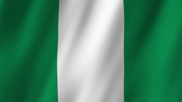 Nigéria Zászlója Nemzeti Nigériai Zászló Lengetése Nigériai Zászló Nigéria Zászlója — Stock videók