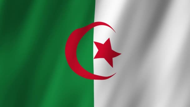 Algerien Flagge Die Algerische Nationalflagge Weht Die Algerische Flagge Weht — Stockvideo