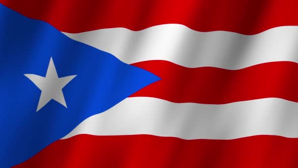Puerto Rico Flagge Die Nationalflagge Puerto Ricos Weht Die Flagge — Stockvideo