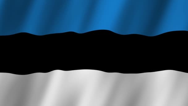 Estland Flagge Die Estnische Nationalflagge Weht Die Flagge Estlands Zeigt — Stockvideo