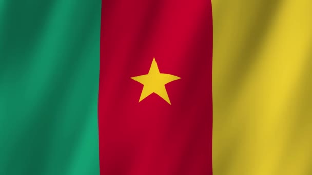 Σημαία Καμερούν Εθνική Καμερούν Κυματίζει Σημαία Σημαία Του Καμερούν Βίντεο — Αρχείο Βίντεο