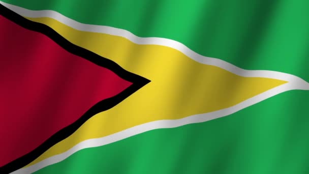 Guyana Flag Národní Guyana Vlajka Mává Vlajka Guyany Video Vlnící — Stock video