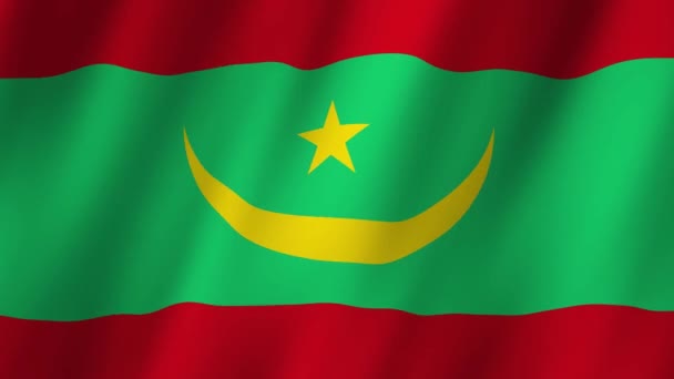 毛里塔尼亚国旗 国家3D毛里塔尼亚国旗飘扬 毛里塔尼亚国旗视频在风中飘扬 毛里塔尼亚国旗4K动画 — 图库视频影像