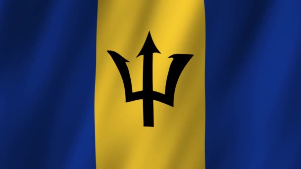 Barbados Vlag Nationale Barbados Vlag Zwaaiend Vlag Van Barbados Beeldmateriaal — Stockvideo