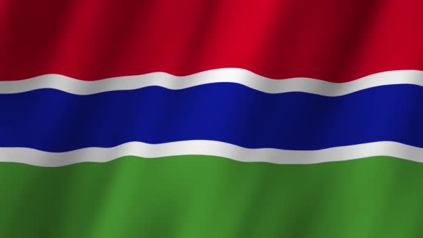 Gambijská Vlajka Národní Gambie Vlajka Mává Flag Gambia Video Mávající — Stock video