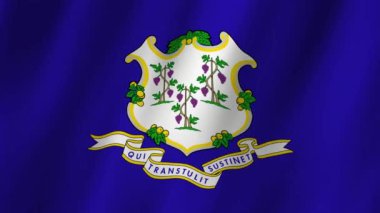 Connecticut Bayrağı. Connecticut Eyaleti Bayrak Dalgası. Connecticut 'ın bayrağı rüzgarda sallanan video görüntüsü. Connecticut 4K Animasyon Bayrağı