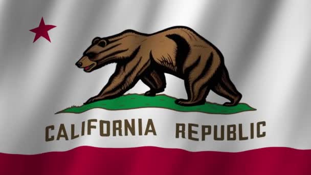 Калифорнийский Флаг Размахивание Флагом Калифорнии Видеозапись Флагом Калифорнии Размахивающая Ветром — стоковое видео