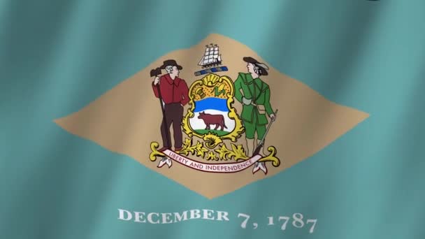Delaware Flag Delaware State Flag Waving Vlajka Delaware Videa Vlnící — Stock video