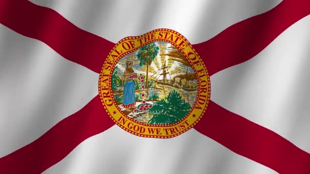 フロリダの国旗 フロリダ州旗 フロリダのフラッグビデオが風に揺れている フロリダ4Kアニメーションの旗 — ストック動画