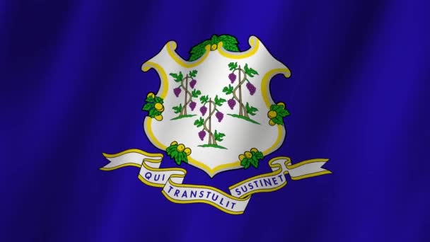 Anslutningsflaggan Connecticut State Flag Viftar Flagga Connecticut Video Vinkar Vinden — Stockvideo