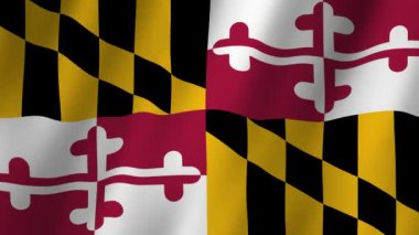 Maryland Bayrağı. Maryland Eyaleti Bayrak Dalgası. Maryland 'in rüzgarda dalgalanan video kaydı bayrağı. Maryland 4K Animasyon Bayrağı