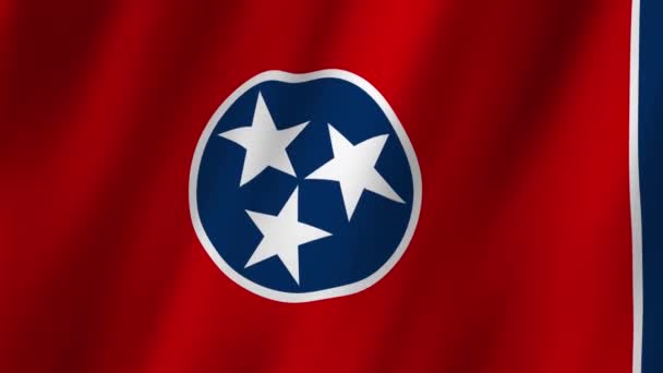 Флаг Теннесси Флаг Штата Теннесси Видео Флагом Теннесси Размахивающее Ветром — стоковое видео